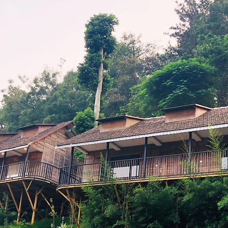 Dream Coconut Villa Resort Munnar Extérieur photo